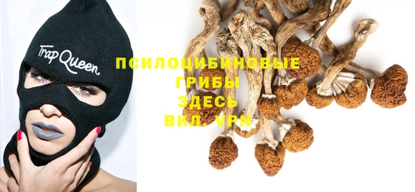 гашиш Снежногорск